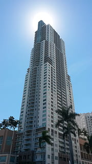 miami, costruzione, controluce, grattacielo, esterno dell'edificio, struttura costruita, architettura, città, Inquadratura dal basso, cielo, moderno, edificio per uffici esterno, alto - alto, albero, quartiere residenziale, nessuno, natura, giorno, cielo sereno, luce del sole, pianta, ufficio, all'aperto, appartamento, 2K, CC0, dominio pubblico, privo di copyright