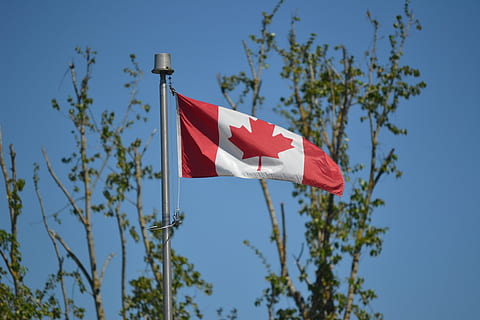 drapelul canadian, steag, frunză de arțar, copaci, vedere unghiulară joasă, patriotism, cer, roșu, copac, plantă, natură, cer senin, zi, albastru, nici o persoana, mândrie, creştere, în aer liber, pol, emoţie, mediu inconjurator, vânt, independenţă, icoana nationala, 4K, CC0, domeniu public, fără drepturi de autor