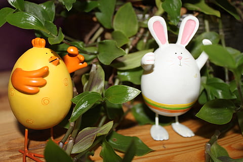 Hase, Hähnchen, Osterferien, Blatt, Pflanzenteil, Ei, Ostern, Osterei, Darstellung, Tierdarstellung, keine Leute, Natur, Nahansicht, grüne Farbe, Tabelle, Pflanze, drinnen, Lebensmittel, Feier, Essen und Trinken, Urlaub, Dekoration, Eierbecher, 4K, CC0, gemeinfrei, lizenzfrei