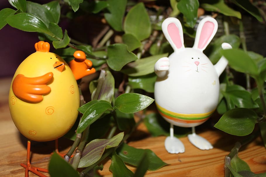 llebre, pollastre, vacances de Setmana Santa, full, part de la planta, ou, Pasqua, ou de Pasqua, representació, representació animal, cap gent, naturalesa, primer pla, color verd, taula, planta, a l'interior, menjar, celebració, menjar i beguda, festa, decoració, ous, 4K