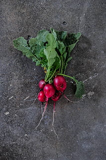 pianta, ravanello, cibo, verdura, insetto, invertebrato, animale, produrre, rapa, Mela, frutta, vegetazione, fiore, petalo, fiorire, grano, confetteria, dolci, foglia, radice, cibo e bevande, mangiare sano, benessere, freschezza, parte vegetale, nessuno, rosso, ortaggio a radice, direttamente sopra, vista dall'alto, avvicinamento, biologico, colore verde, giorno, natura, 5K, CC0, dominio pubblico, privo di copyright