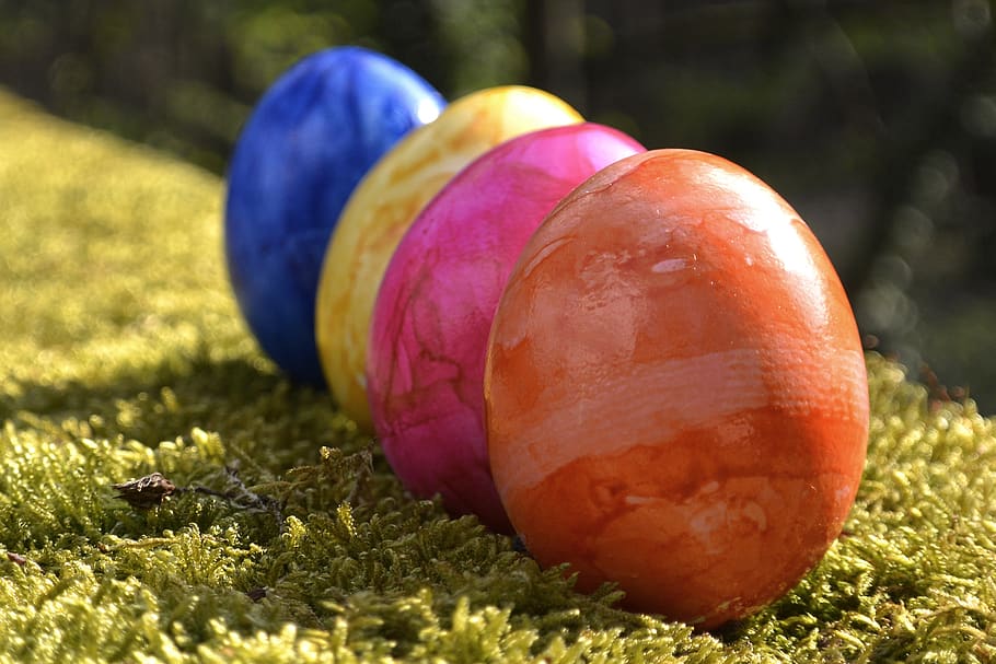 Ostereier, Ostern, bunt, Osterei, Ei, Dekoration, Frohe Ostern, farbig, Osterei malen, Farbe, Frühling, Ostertradition, gemalt, Moos, Brauch, Zoll, Osterhase, Malerei, Grün, Kunst, Natur, Nahansicht, Makro, Lebensmittel, Essen und Trinken, Pflanze, gesundes Essen, Feier, Frische, Wohlbefinden, keine Leute, Sonnenlicht, Tag, Fokus auf den Vordergrund, Gras, draußen, selektiver Fokus, Gruppe von Objekten, lila, 2K