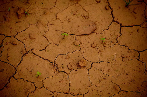 sòl, sequera, àrid, sec, aspre, patró, crack, terreny erm, creixement, planta, marró, esquerdat, clima, clima àrid, terra, medi ambient, cap gent, estèril, textura, escenics - natura, dia, vista d’angle alt, naturalesa, brutícia, fang, marc complet, danys ambientals, a l'aire lliure, 4K, CC0, domini públic, lliure de regalies