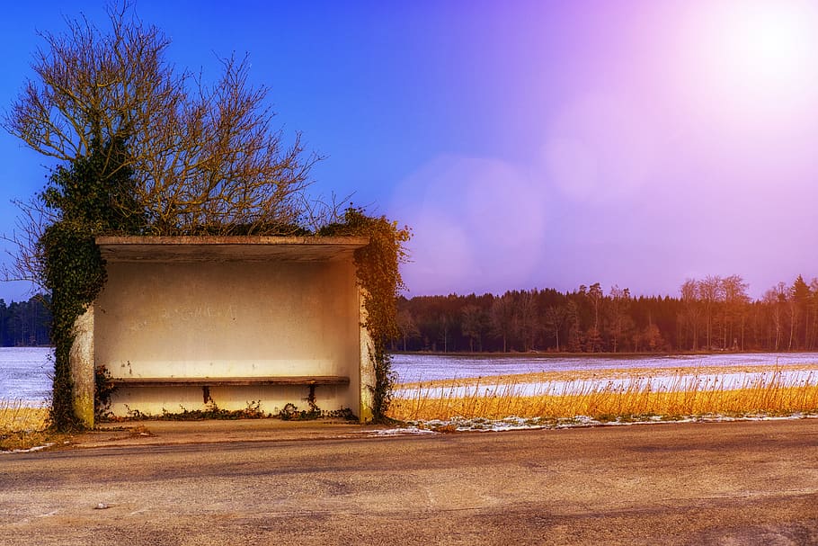 hold op, busstoppested, vej, vinter, vinterlige, vente, bank, træ, plante, himmel, landskab, natur, sne, miljø, jord, ingen mennesker, kold temperatur, scenics - natur, landlige scene, skønhed i naturen, ro, rolig scene, udendørs, Skov, ikke-urbane scene, 5K