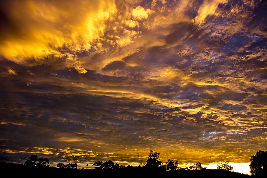 solnedgang, widescreen, natur, himmel, sky - himmel, skønhed i naturen, scenics - natur, rolig scene, ro, orange farve, silhuet, ingen mennesker, dramatisk himmel, idyllisk, lav vinkel visning, udendørs, træ, plante, overskyet, ikke-urbane scene, 4K