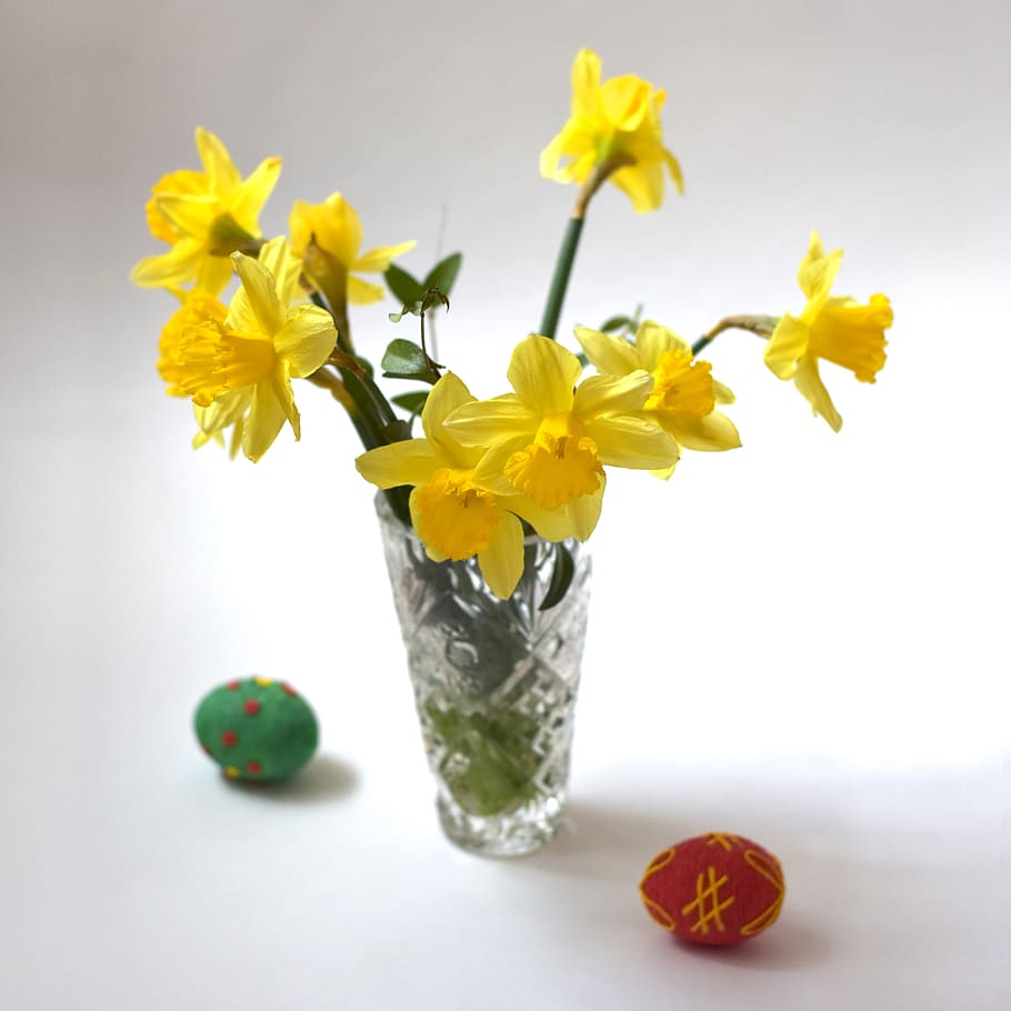 narcise, zarnacadea, floare, ou, Paști, vază, concediu, planta cu flori, prospeţime, plantă, în interior, a închide, galben, natură, studio shot, nici o persoana, frumusețe în natură, mancare si bautura, masa, alimente, fragilitate, vulnerabilitate, petală, cap de floare, sticlă, aranjament floral, buchet, buchet de flori, 4K