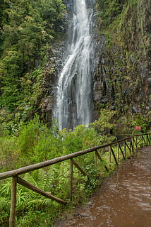 Madeira, Kaskade, Quelle, Wasserfall, Schönheit in der Natur, Wasser, Szenen - Natur, Pflanze, Bewegung, Natur, Geländer, Land, keine Leute, Baum, Langzeitbelichtung, fließendes Wasser, Tag, Rock, Nicht-städtische Szene, ruhige Szene, Umgebung, Wald, draußen, Kraft in der Natur, fließend, 4K, CC0, gemeinfrei, lizenzfrei