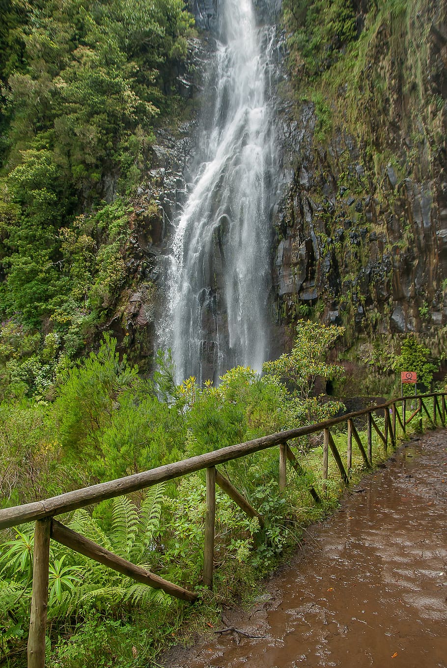 madeira, cascada, font, bellesa a la natura, aigua, escenics - natura, planta, moviment, naturalesa, barana, terra, cap gent, arbre, exposició llarga, aigua que flueix, dia, rock, escena no urbana, escena tranquil·la, medi ambient, bosc, a l'aire lliure, poder a la natura, que flueix, 4K
