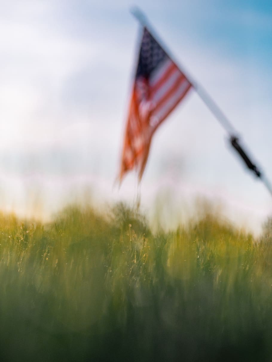 usa flag, flag, plante, græs, symbol, amerikansk flag, Amerika, patriotisme, Forenede Stater, dom, mindedag, flagdag, uafhængighedsdag, Mark, græsplæne, reed, udendørs, græsarealer, lancering, stående, livboj, natur, himmel, landlige scene, ingen mennesker, miljø, frihed, landskab, dag, kopiere plads, vind, uafhængighed, 5K