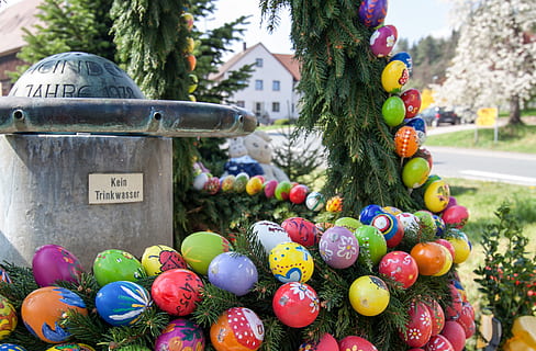 salut de salut, Paste Fericit, Paște bine, Paști, oua de Paste, multi colorate, zi, nici o persoana, celebrare, ou de Paște, decor, să se concentreze asupra primelor elemente, ou, plantă, copac, natură, alimente, în aer liber, text, vacanţă, a închide, artă și sculptură, 4K, CC0, domeniu public, fără drepturi de autor