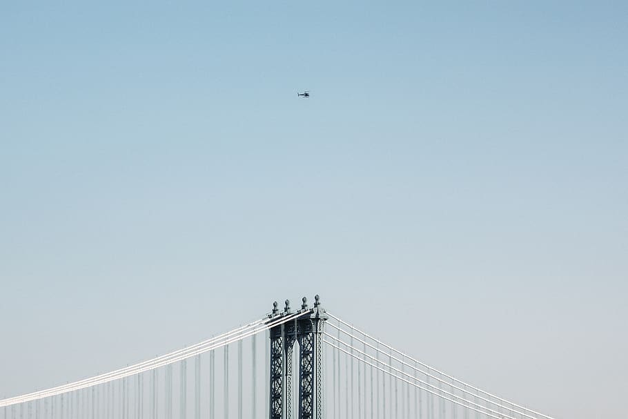 animal, ocell, volant, pont, edifici, vol, transport, vehicle, ciutat, metròpolis, urbà, arquitectura, edifici d'oficines, cel, Brooklyn, EUA, new york, nyc, helicòpter, estructura construïda, cel clar, connexió, pont - estructura feta per l'home, naturalesa, còpia espai, dia, vista d’angle baix, barana, cap gent, temes d'animals, blau, a l'aire lliure, 4K