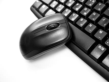 tastiera, topo, nero, computer, pc, Internet, attrezzatura informatica, connessione, tecnologia, tecnologia wireless, tastiera del computer, comunicazione, parte del computer, attività commerciale, avvicinamento, sfondo bianco, in casa, tasto del computer, nessuno, natura morta, numero, premi il bottone, girato in studio, mouse del computer, accessorio personale, comunicazioni globali, materiale elettrico, dispositivo vivavoce, 5K, CC0, dominio pubblico, privo di copyright