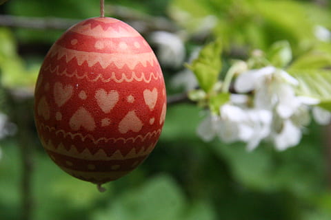 påskeegg, påske, egg, vår, hage, blomster, hjerte, nærbilde, ferie, fokusere på forgrunnen, dekorasjon, rød, feiring, enkelt objekt, ingen folk, ferie - arrangement, anlegg, julepynt, henger, natur, tre, dag, 2K, CC0, offentlig domene, opphavsrett gratis