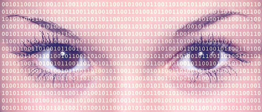 dades, cibernètic, Internet, robatori, seguretat, pirateria, cop de destral, web, navegador, tecnologia, comunicació, tecnologia sense fils, connexió, cap gent, xarxa d’ordinadors, fons, marc complet, primer pla, ordinador, codi binari, text, nombre, arquitectura, salut i medicina, ombra, patró, llenguatge informàtic, comunicacions globals, delicte informàtic, 4K
