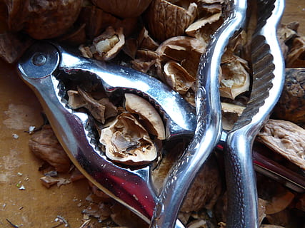 nutshells, nutcracker, walnuts, nuts, crack, open, tool, food and drink, food, freshness, still life, no people, indoors, close-up, seafood, animal, healthy eating, vertebrate, high angle view, fish, wellbeing, raw food, for sale, metal, market, day, retail, 4K, CC0, public domain, royalty free