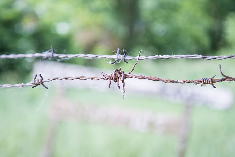 cable, barbada, tanca, seguretat, perill, agut, barrera, barb, presó, metall, protecció, acer, frontera, dom, ferro, barbwire, filferro espinós, centrar-se en primer pla, límit, cap gent, dia, naturalesa, primer pla, prohibit, a l'aire lliure, retorçat, senyal d'advertència, color verd, 5K