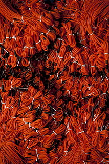 kabel, draad, plug, achtergronden, volledig kader, rood, geen mensen, patroon, overvloed, grote groep objecten, binnenshuis, stilleven, hoge hoekmening, detailopname, dag, getextureerde, bruin, eten en drinken, versheid, voedsel, Chili peper, textiel, abstract, 5K, CC0, publiek domein, royaltyvrij