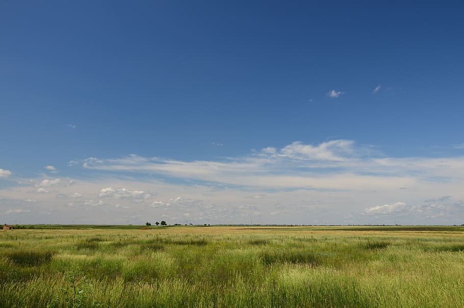 Wolke, Landschaft, Himmel, Sommerzeit, Umgebung, Gras, Schönheit in der Natur, Land, Szenen - Natur, Feld, Ruhe, ruhige Szene, Pflanze, wolke - himmel, grüne Farbe, Natur, Nicht-städtische Szene, keine Leute, Horizont über Land, Tier, Tag, Blau, draußen, 4K