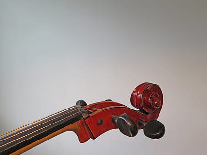 cello, strings, instrument, eddy, mood, stringed instrument, fingerboard, studio shot, indoors, music, copy space, musical instrument, arts culture and entertainment, musical equipment, white background, red, string instrument, wood - material, close-up, violin, no people, gray, still life, gray background, single object, brown, cut out, 4K, CC0, public domain, royalty free