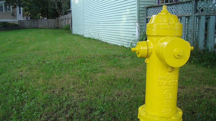 požární hydrant, fireplug, zástrčka, hydrant, žlutá, nouzový, bezpečnost, tráva, rostlina, nehody a katastrofy, bezpečnostní, stavba, ochrana, den, nikdo, architektura, zelená barva, Příroda, pole, exteriér budovy, venku, kov, přistát, růst, 2K