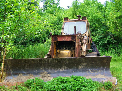 rastreador velho, veterano, oldtimer, plantar, árvore, cor verde, crescimento, natureza, dia, ninguém, terra, abandonado, arquitetura, agua, estrutura construída, ao ar livre, transporte, modo de transporte, campo, casa, velho, construção, 2K, CC0, domínio público, royalty free