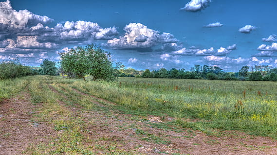 paisatge, naturalesa, núvols, boscos, arbre, cel, verd, arbres, horitzó, prat, estiu, planta, escenics - natura, núvol - cel, escena tranquil·la, tranquil·litat, terra, medi ambient, herba, bellesa a la natura, camp, cap gent, dia, creixement, escena no urbana, a l'aire lliure, color verd, 5K, CC0, domini públic, lliure de regalies