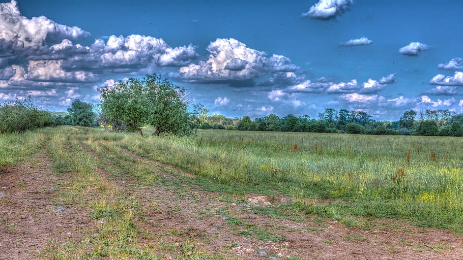 paisatge, naturalesa, núvols, boscos, arbre, cel, verd, arbres, horitzó, prat, estiu, planta, escenics - natura, núvol - cel, escena tranquil·la, tranquil·litat, terra, medi ambient, herba, bellesa a la natura, camp, cap gent, dia, creixement, escena no urbana, a l'aire lliure, color verd, 5K