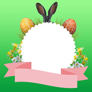 Ostern, Grafik, Frühling, Osterhase, Ostereier, Frohe Ostern, Ostergruß, Textfeld, Schleife, Band, Rosa, Hintergrund, Feier, Tier, Pflanze, Natur, Tierthemen, Lebensmittel, Ferienveranstaltung, Säugetier, Kaninchen - Tier, Blume, Essen und Trinken, grüne Farbe, Urlaub, Wirbeltier, blühende Pflanze, keine Leute, 4K, CC0, gemeinfrei, lizenzfrei