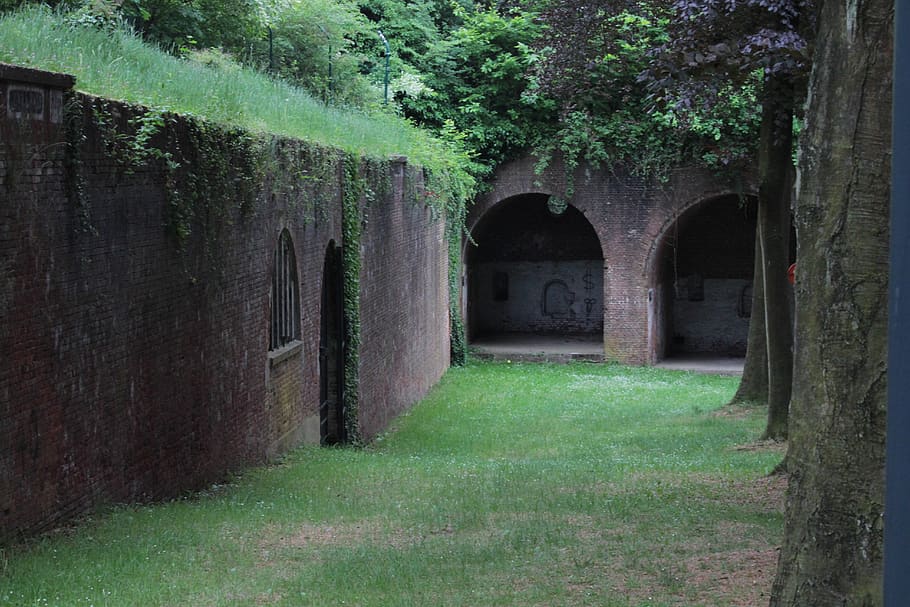Roma, architektūra, augalų, pastatyta struktūra, žalia spalva, žolė, dieną, arka, pobūdį, įėjimas, pastatas, medis, durys, augimą, nėra žmonių, lauke, pastato išorė, senas, žemės, kryptis, gebenė, 5K