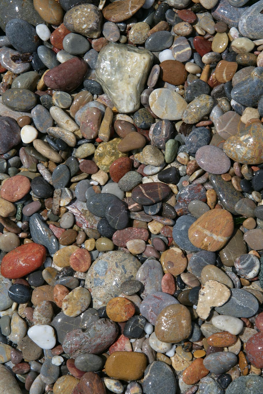 pietre, ciottolo, spiaggia, sfondo, modello, Marrone, nero, ciottoli, sabbia, cozze, brillante, opaco, pietra, roccia, pietra - oggetto, solido, grande gruppo di oggetti, fotogramma intero, abbondanza, sfondi, nessuno, giorno, natura, roccia - oggetto, direttamente sopra, strutturato, avvicinamento, variazione, multicolore, all'aperto, 2K