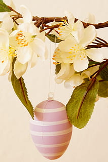 easter greeting, easter bouquet, egg, easter egg, happy easter, easter, customs, painted egg, decoration, deco, tradition, spring, branch, easter branch, easter theme, plant, flowering plant, flower, vulnerability, freshness, fragility, beauty in nature, close-up, growth, indoors, nature, no people, petal, vase, flower head, studio shot, hanging, focus on foreground, twig, springtime, flower arrangement, cherry blossom, 5K, CC0, public domain, royalty free