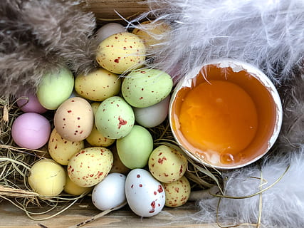 Feliç Pasqua, Pasqua, ous de Pasqua, ou de Pasqua, ou, posar ous, ous de xocolata, menjar i beguda, menjar, natura morta, a l'interior, celebració, frescor, cap gent, festa, primer pla, vista d’angle alt, decoració, multicolor, taula, vacances - esdeveniment, contenidor, rovell d'ou, temptació, 5K, CC0, domini públic, lliure de regalies