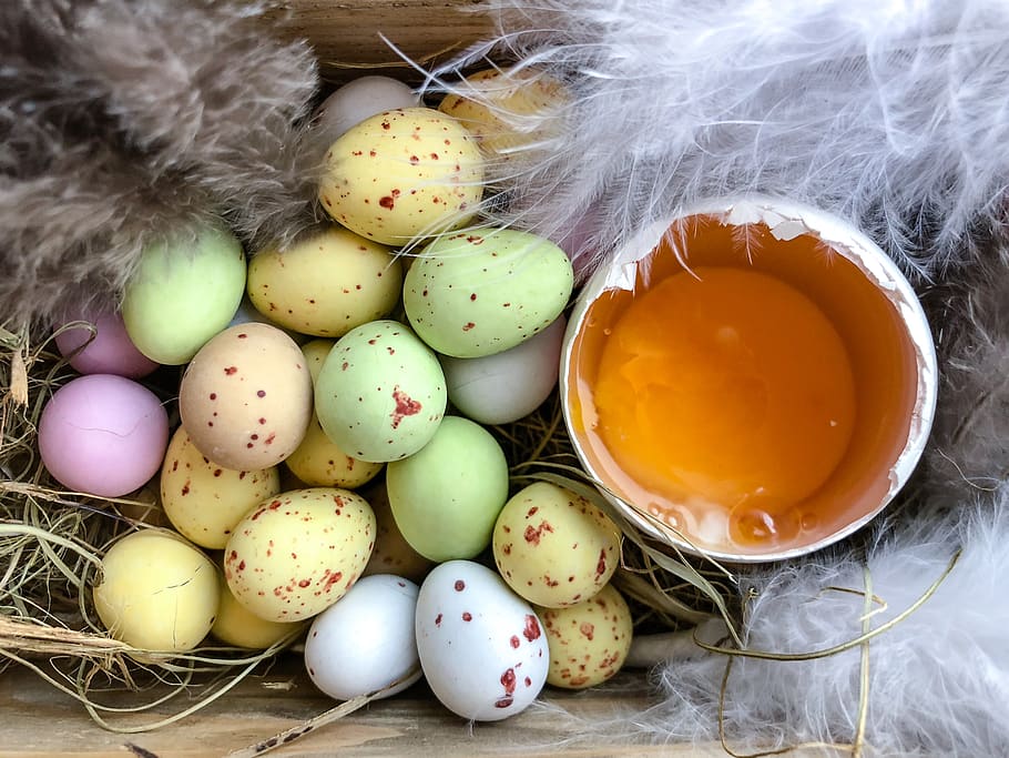 Feliç Pasqua, Pasqua, ous de Pasqua, ou de Pasqua, ou, posar ous, ous de xocolata, menjar i beguda, menjar, natura morta, a l'interior, celebració, frescor, cap gent, festa, primer pla, vista d’angle alt, decoració, multicolor, taula, vacances - esdeveniment, contenidor, rovell d'ou, temptació, 5K