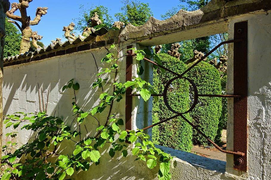 Wand, Fenster, Fenster öffnen, Riegel, Laub, Baum, durchschauen, sonnig, die Architektur, Pflanze, gebaute Struktur, Gebäudehülle, Wachstum, Natur, Tag, grüne Farbe, Gebäude, Sonnenlicht, keine Leute, Wandbau - Funktion, Blatt, draußen, Flachwinkelansicht, Grenze, alt, Pflanzenteil, Himmel, 5K