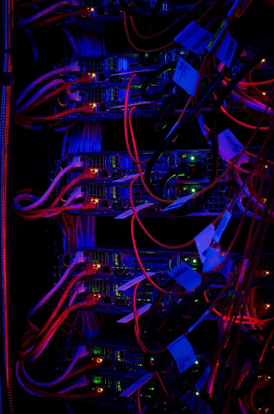 ordinador, maquinari, tecnologia, electrònica, informació, connexions, cables, xarxa, comunicació, processador, sistema, digital, modern, colorit, xips, dades, equipament, transferència, cable, connexió, xarxa d’ordinadors, Internet, complexitat, cable d’ordinador, cap gent, primer pla, a l'interior, marc complet, fons, brillant, il·luminat, tecnologia sense fils, electricitat, blau, tir de l'estudi, servidor de xarxa, Font d'alimentació, equipament elèctric, 1080P