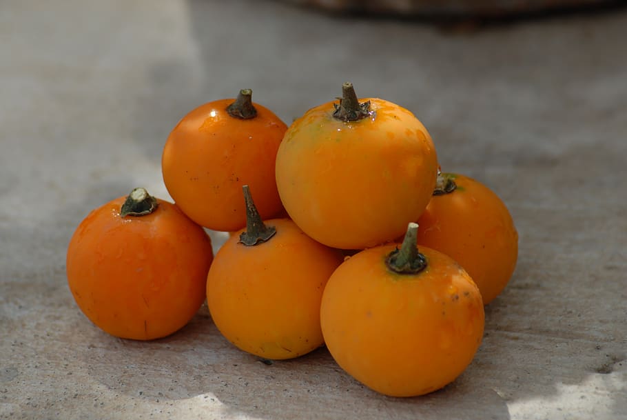 fruita, textura, naturalesa, menjar, menjar i beguda, alimentació saludable, benestar, frescor, color taronja, natura morta, taula, cap gent, primer pla, vegetals, centrar-se en primer pla, grup d'objectes, caqui, a l'aire lliure, dia, sòls, vermell, material de fusta, taronja, madur, 4K