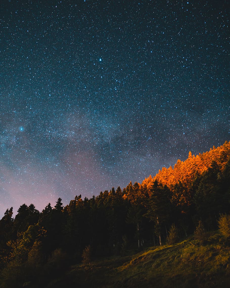 arbres, nit estrellada, naturalesa, a l'aire lliure, planta, arbre, univers, espai, espai exterior, astronomia, nit, abies, avet, cel estrellat, nebulosa, terra, Grècia, longexposició, estrelles, vegetació, bosc, bellesa a la natura, escenics - natura, cel, estrella - espai, tranquil·litat, escena tranquil·la, creixement, cap gent, idíl·lic, estrella, galàxia, escena no urbana, camp estel·lar, Via Làctea, espai i astronomia, 4K