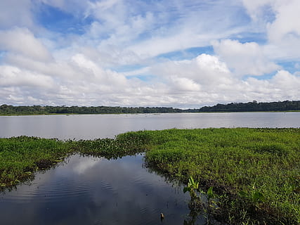 Parque do Utinga, See, wolke - himmel, Wasser, Himmel, Schönheit in der Natur, Szenen - Natur, Pflanze, Ruhe, ruhige Szene, Tag, Natur, Reflexion, Nicht-städtische Szene, Gras, keine Leute, grüne Farbe, Wachstum, Baum, draußen, 4K, CC0, gemeinfrei, lizenzfrei