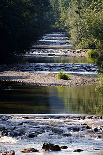 rio, bach, bolha, panorama, verde, fluxo, agua, natureza, águas, angra, romântico, nadar, pedras, seixo, sorteio, banco, curso de água, esguicho, cascata, murmúrio, idílico, vegetação, cama de córrego, água corrente, beleza na natureza, ninguém, movimento, dia, árvore, scenics - natureza, plantar, ao ar livre, floresta, fluindo, terra, esporte, luz solar, reflexão, tranquilidade, poder na natureza, 2K, CC0, domínio público, royalty free