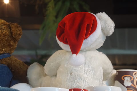 urs, Chrismas, ursuleți, celebrare, Crăciun, în interior, culoare alba, vacanţă, roșu, santa hat, nici o persoana, să se concentreze asupra primelor elemente, pălărie, Mos Craciun, a închide, reprezentare, decor, eveniment de vacanță, iarnă, masa, natură, festival, 5K, CC0, domeniu public, fără drepturi de autor
