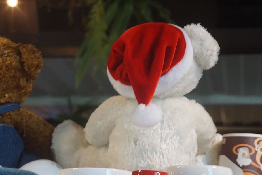 suportar, chrismas, peluix, celebració, Nadal, a l'interior, Color blanc, festa, vermell, barret de santa, cap gent, centrar-se en primer pla, barret, Pare Noél, primer pla, representació, decoració, vacances - esdeveniment, hivern, taula, naturalesa, Festival, 5K