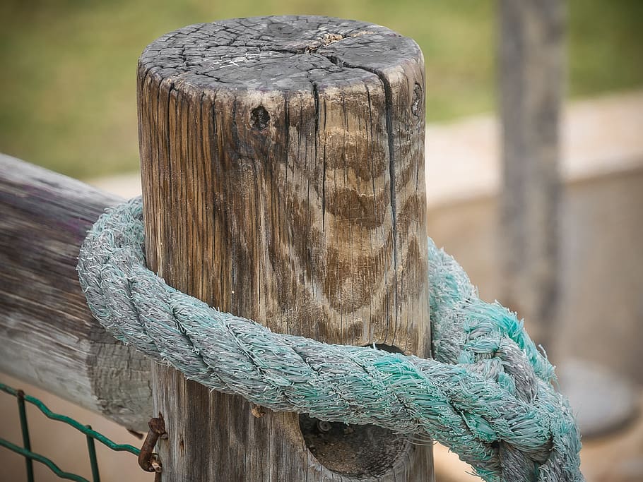Zaun, Tor, Knoten, Seil, Grenze, Geländer, Holz, Barriere, Bokeh, Tür, Fechten, Gliederung, Fokus auf den Vordergrund, Holz - Material, Nahansicht, Tag, keine Leute, Post, Holzpfosten, Stärke, draußen, Tiere in freier Wildbahn, Tierwelt, Tier, ein Tier, gebunden, texturiert, Muster, Tierthemen, Natur, Tierkopf, 4K