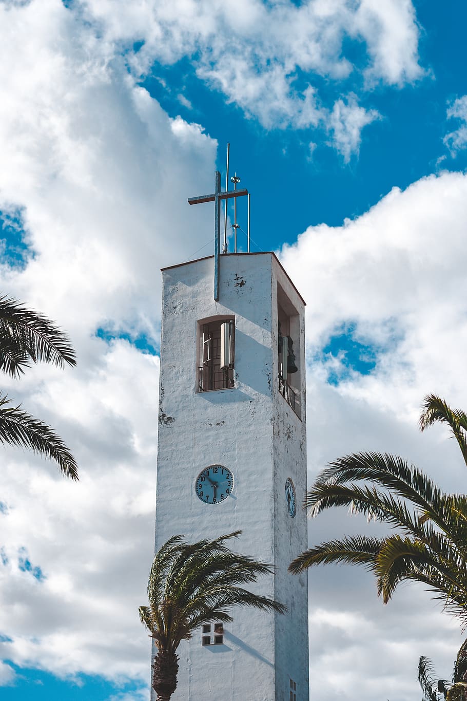 torre bianca, Torre, architettura, costruzione, Torre dell'orologio, Torre campanaria, guglia, campanile, pianta, albero, Arecaceae, Palma, all'aperto, giardino, pergolato, Chiesa, monumento, tropicale, divano, mobilia, orologio, nuvola - cielo, cielo, struttura costruita, esterno dell'edificio, Inquadratura dal basso, clima tropicale, luogo di culto, spiritualità, religione, natura, credenza, giorno, nessuno, alto - alto, 5K