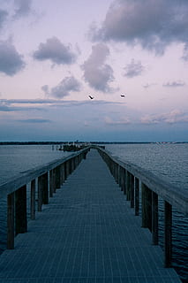Brun, sort, dok, vand, mole, havnefronten, fugl, dyr, Havn, bygning, bro, boardwalk, natur, himmel, linjer, skyer, gylden time, solnedgang, både, bølger, berolige, fredelig, hav, sky - himmel, horisont, scenics - natur, horisont over vand, skønhed i naturen, ro, retning, rolig scene, vejen frem, rækværk, ingen mennesker, sti, arkitektur, faldende perspektiv, udendørs, 5K, CC0, offentligt domæne, royaltyfrie