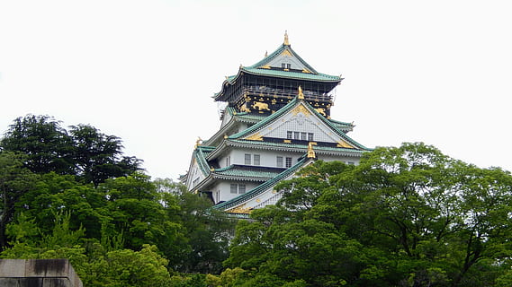 tempio, Japane, storia, albero, pianta, struttura costruita, esterno dell'edificio, architettura, costruzione, cielo, natura, nessuno, Inquadratura dal basso, colore verde, crescita, giorno, religione, credenza, all'aperto, destinazioni di viaggio, Torre, luogo di culto, guglia, 4K, CC0, dominio pubblico, privo di copyright