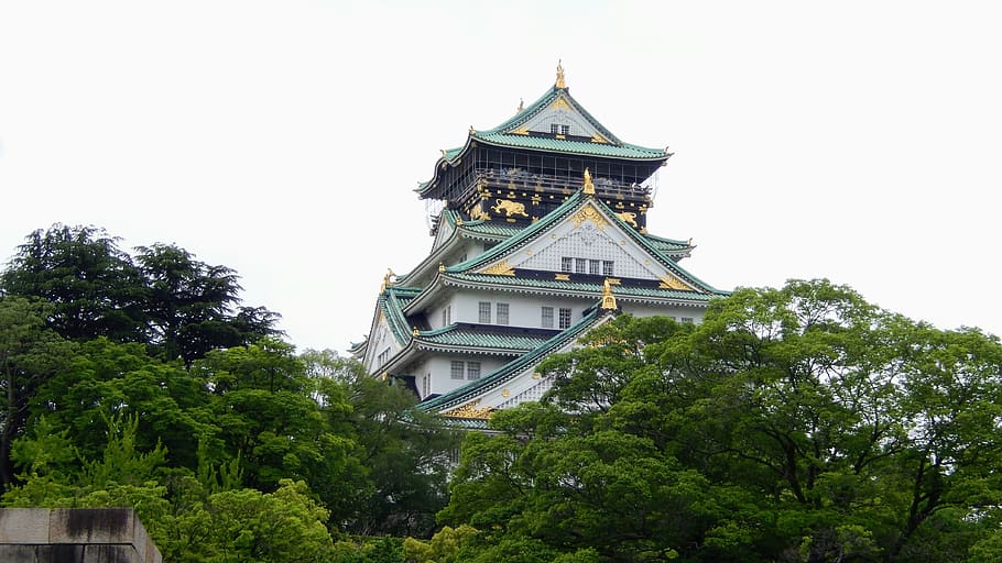 tempio, Japane, storia, albero, pianta, struttura costruita, esterno dell'edificio, architettura, costruzione, cielo, natura, nessuno, Inquadratura dal basso, colore verde, crescita, giorno, religione, credenza, all'aperto, destinazioni di viaggio, Torre, luogo di culto, guglia, 4K