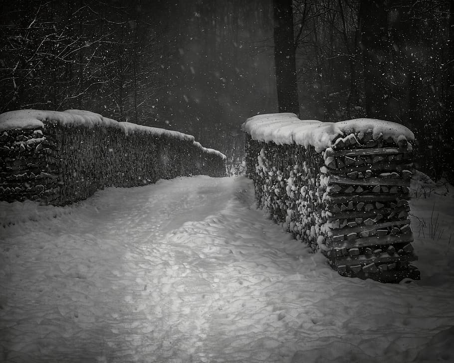 neu, hivern, naturalesa, a l'aire lliure, vent de neu, tempesta, Austràlia, carretera sense nom, wien, Camí, fusta, llenya, negre + blanc, b + w, blanc i negre, fred, nevat, fosc, viena, bosc, temperatura de fred, arbre, dia, cap gent, terra, aigua, davant del mar, bellesa a la natura, moviment, nevar, congelat, planta, escenics - natura, clima extrem, 4K
