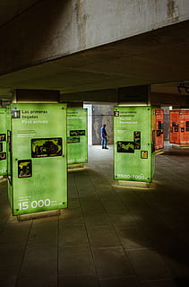 asmuo, žmogus, patalpose, interjero dizainas, plakatas, skelbimas, Miestas, miesto, pastatas, metropolis, grindys, kioskas, mediena, tekstą, parduotuvė, pėsčiųjų, LCD ekranas, stebėti, komunikacijos, architektūra, šviečia, technologijos, vienas asmuo, telefonu, pastatyta struktūra, realūs žmonės, Vakarų scenarijus, stovėti, telefono būdelė, sienų kūrimo funkcija, visas ilgis, ryšį, naktis, mokėti telefoną, pardavimo automatas, 4K, CC0, Viešasis domenas, nemokamai