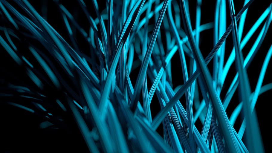 technologie, velká data, roboty, budoucnost, neuron, spojení, sítí, umělá inteligence, pozadí, modrý, detail, růst, abstraktní, vzor, celý rám, zelená barva, nikdo, selektivní zaměření, Příroda, list, počítačová síť, kabel, Internet, venku, rostlinné části, noc, palmový list, 4K