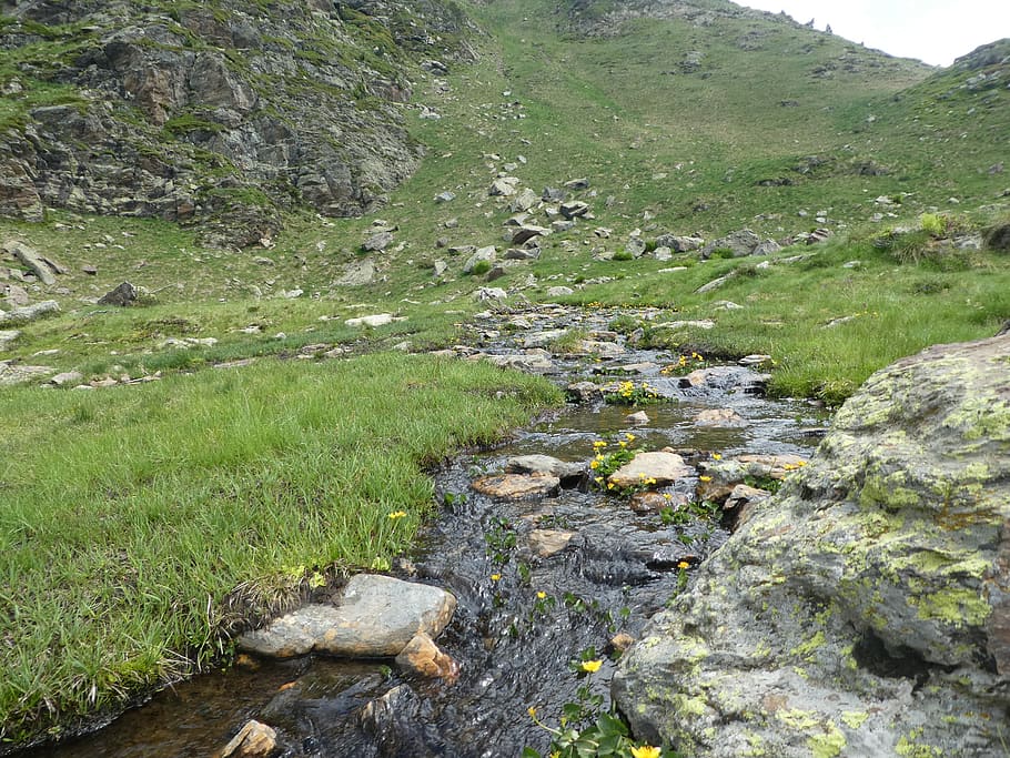 riu, muntanya, andorra, planta, rock, bellesa a la natura, tranquil·litat, escenics - natura, color verd, escena tranquil·la, aigua, sòlid, rock - object, creixement, naturalesa, herba, cap gent, descàrrega, dia, terra, escena no urbana, pedra, a l'aire lliure, aigua que flueix, que flueix, rierol: aigua que flueix, poc profund, 2K